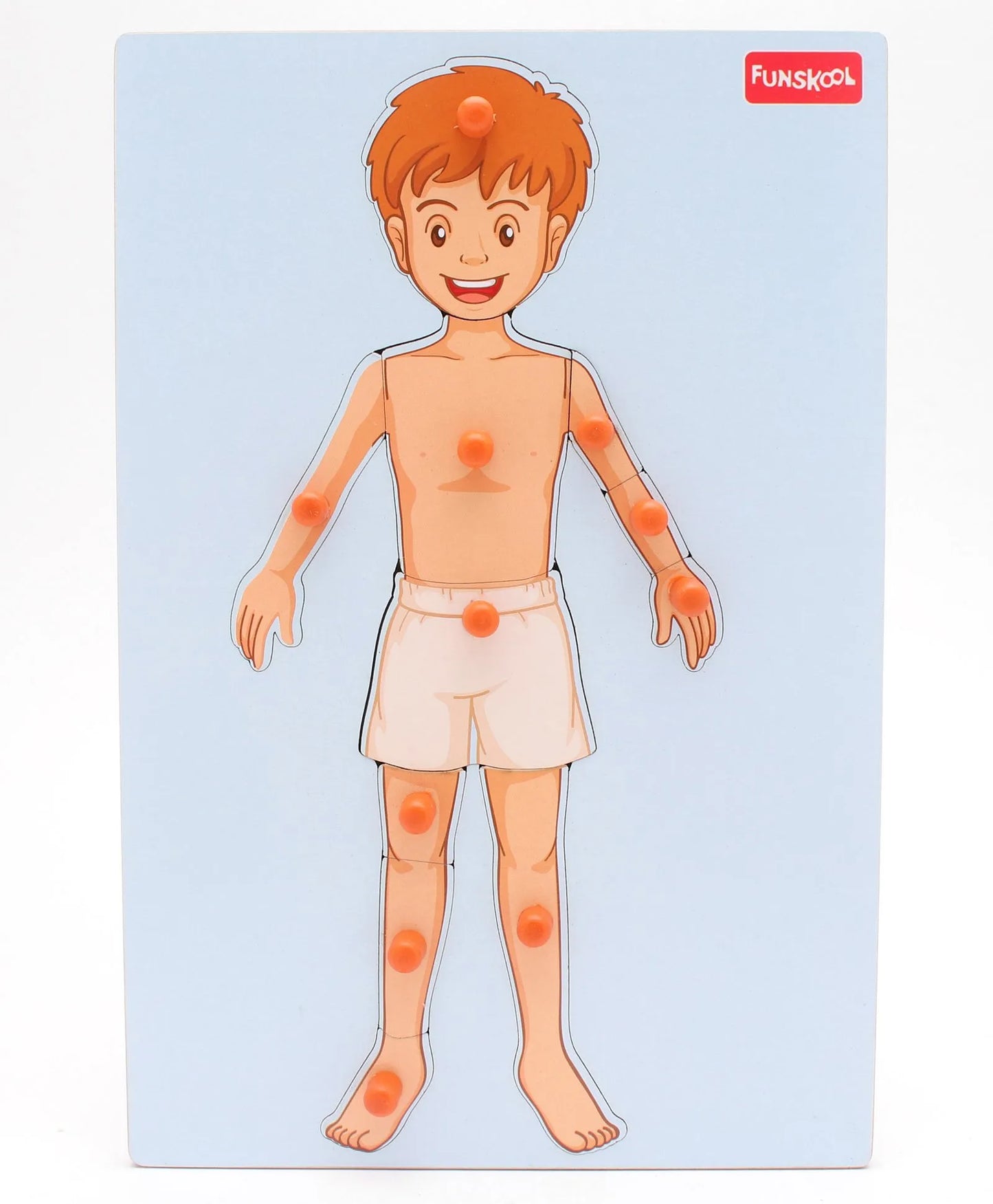 Funskool Wooden Human Body Knob & Peg Puzzle Multicolour - 12 Pieces