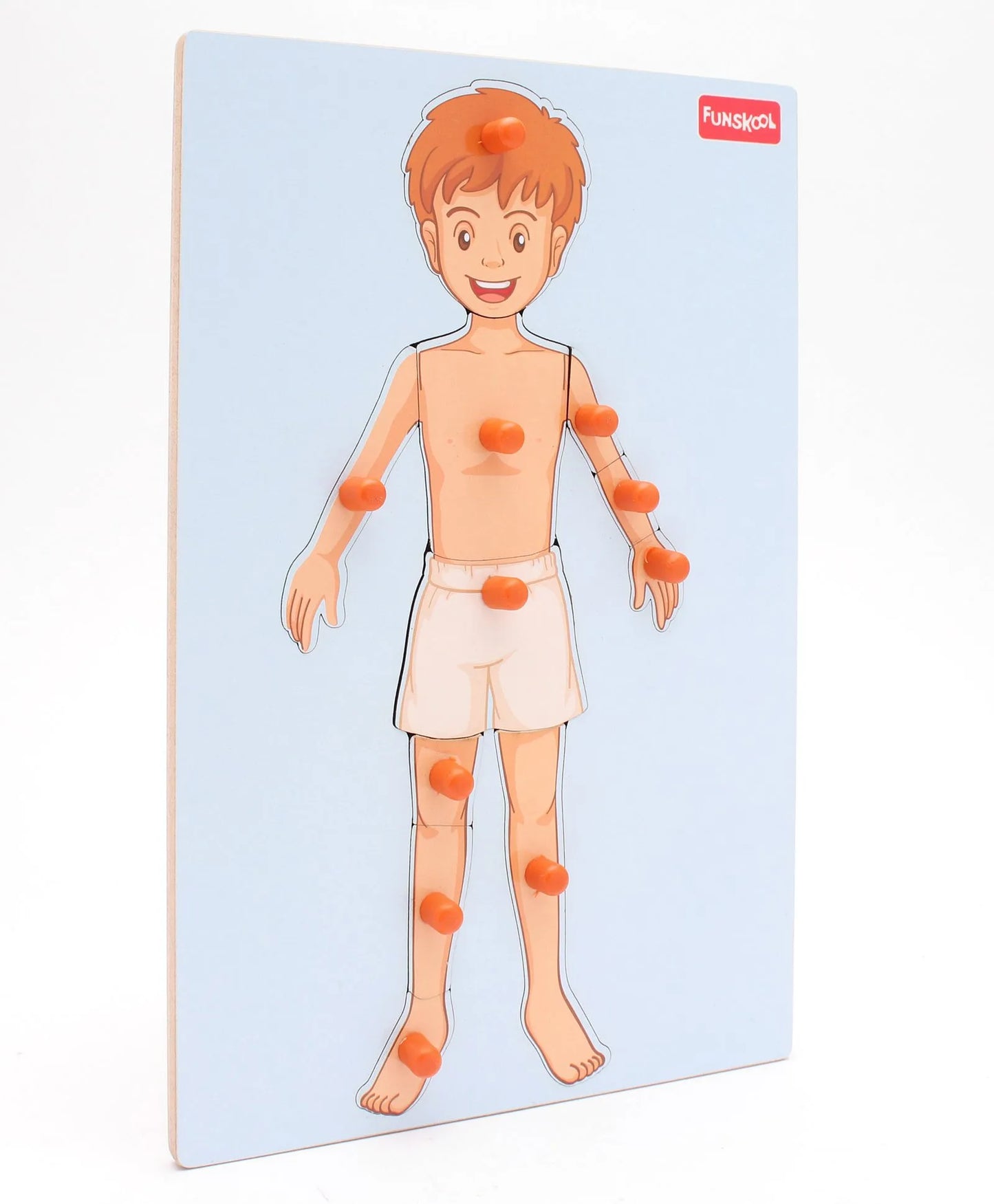 Funskool Wooden Human Body Knob & Peg Puzzle Multicolour - 12 Pieces