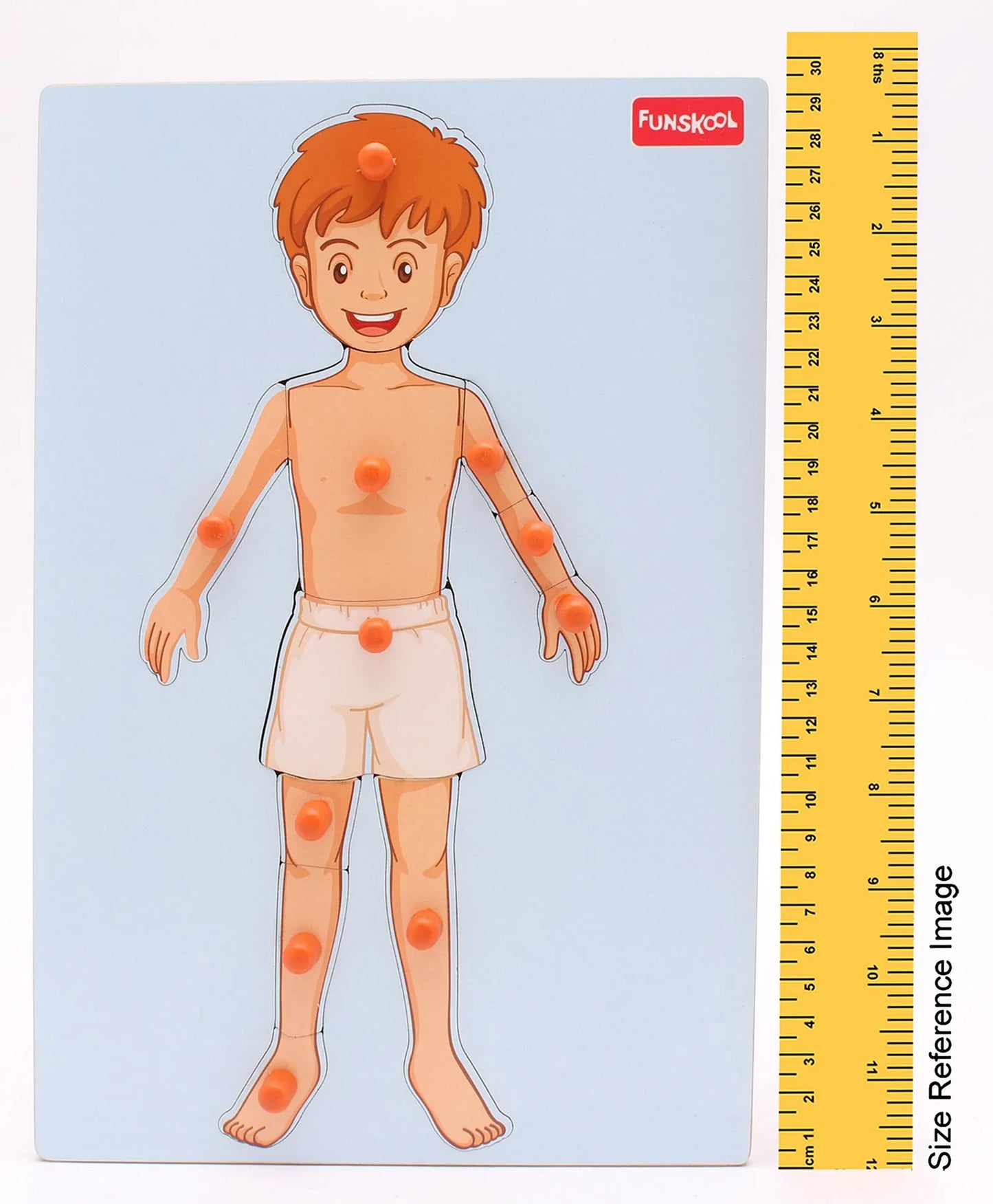 Funskool Wooden Human Body Knob & Peg Puzzle Multicolour - 12 Pieces