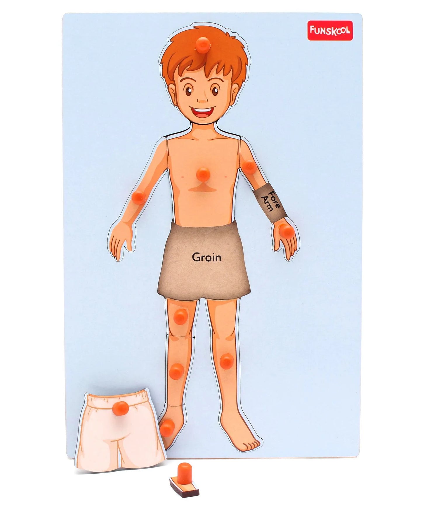 Funskool Wooden Human Body Knob & Peg Puzzle Multicolour - 12 Pieces