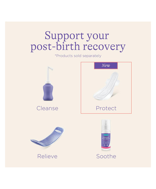 Lansinoh Maternity Pads ( L ) 10ct - Export