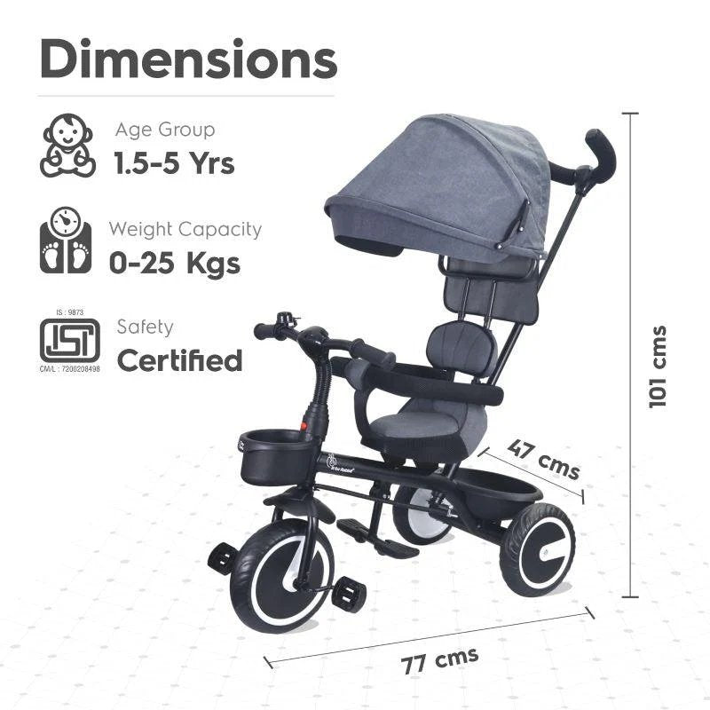 R for Rabbit Tiny Toes T30 Ace Tricycle Grey