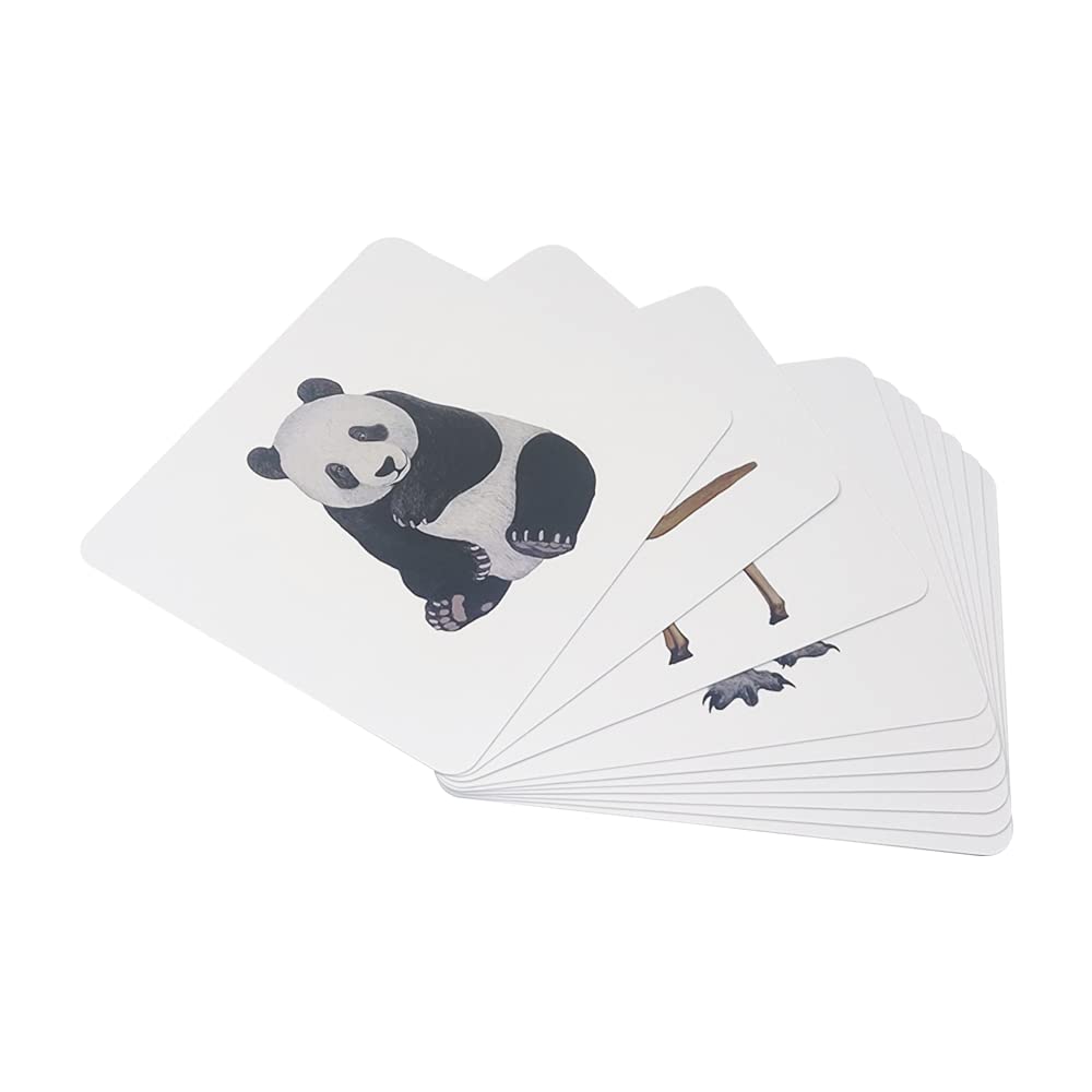 New Quantum Cards Mammals