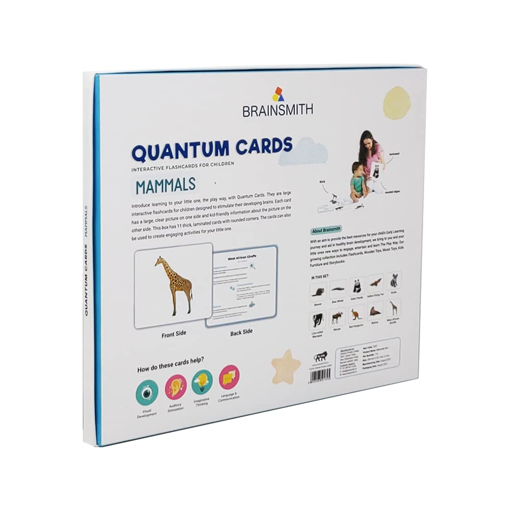 New Quantum Cards Mammals