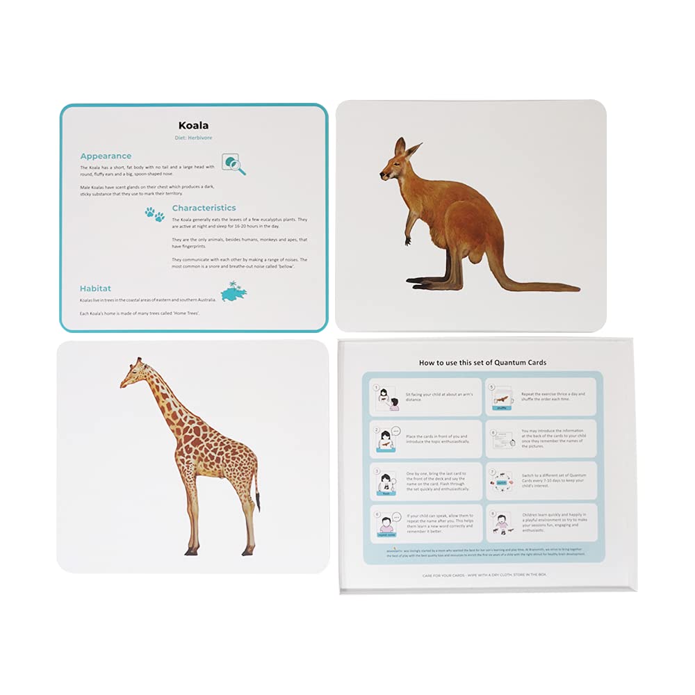 New Quantum Cards Mammals