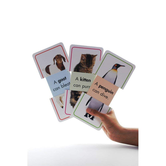 Slide & Learn Flash Card : Animals