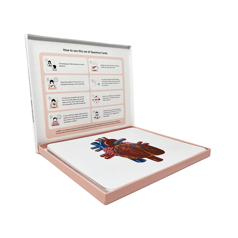 New Quantum Card Organs of the Human Body