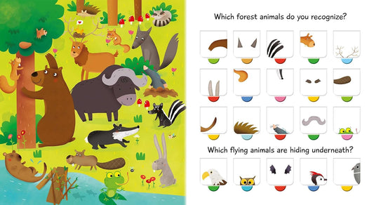 100 Flaps To Learn Animals