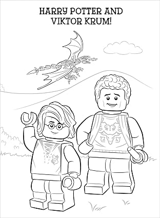 Harry Potter Magic In Action