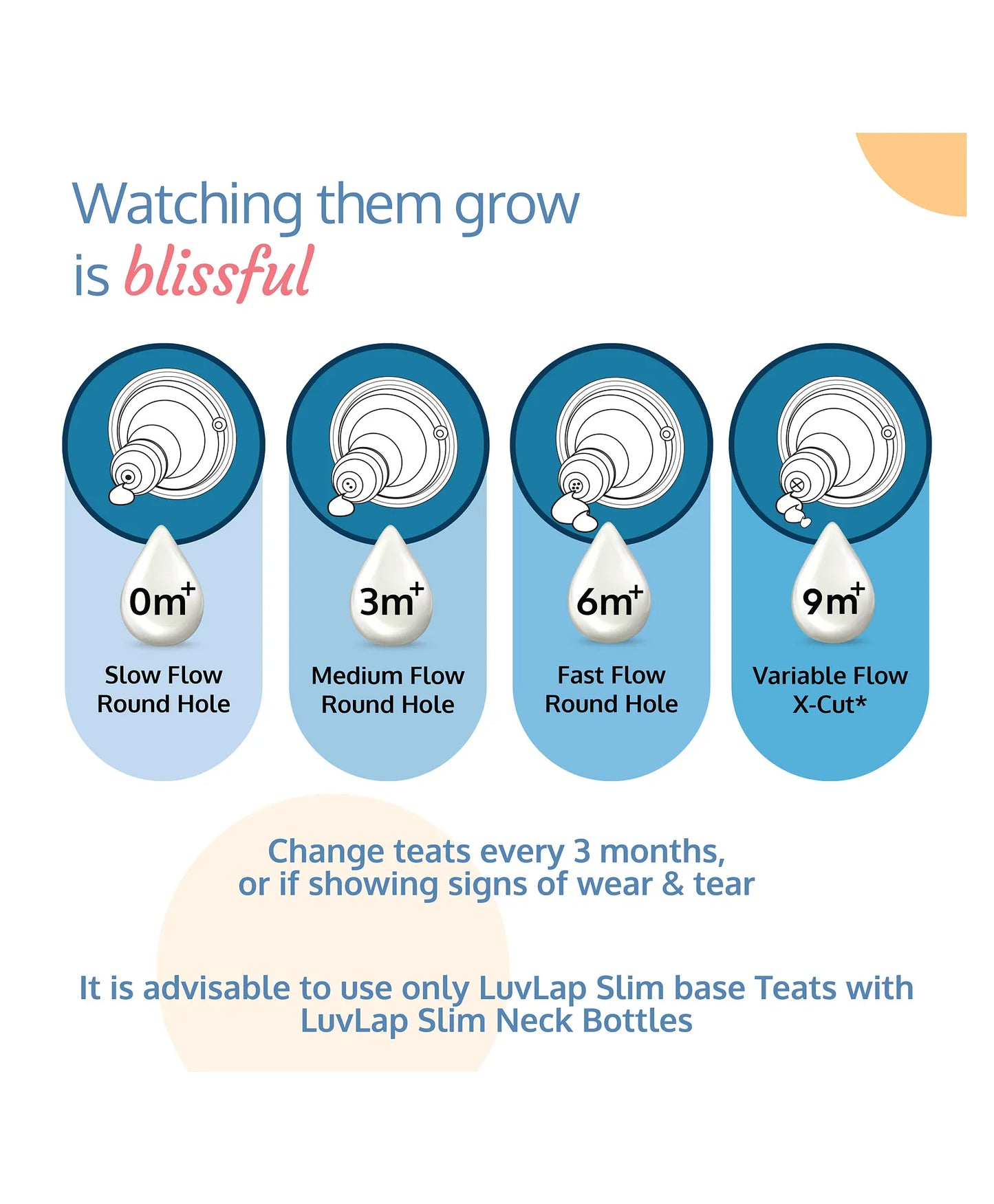 LuvLap Ess S Neck Feeding Bottle Plain -250 ml