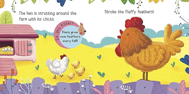 Touch and Feel Farm Friends