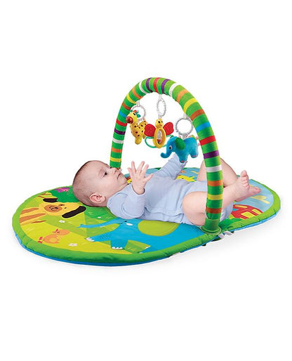 Giggles 3 in 1 Deluxe Playgym - Multicolor