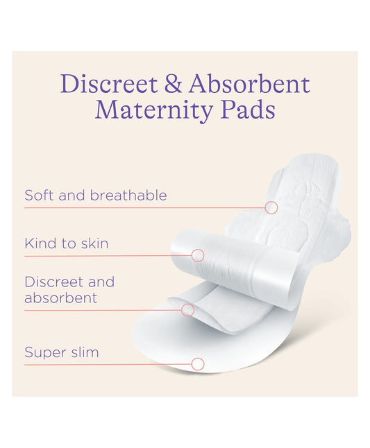 Lansinoh Maternity Pads ( M )12ct - Export