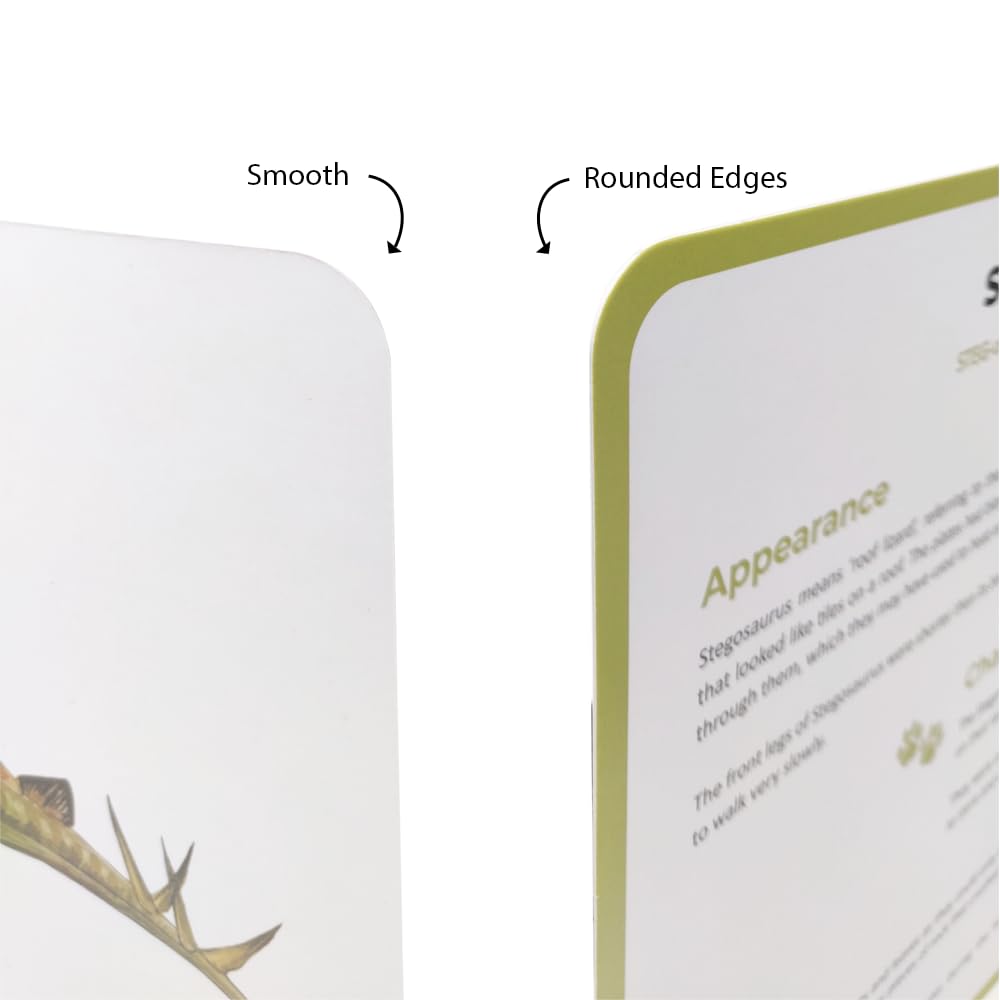 Dinosaurs Quantum Cards - New Packaging