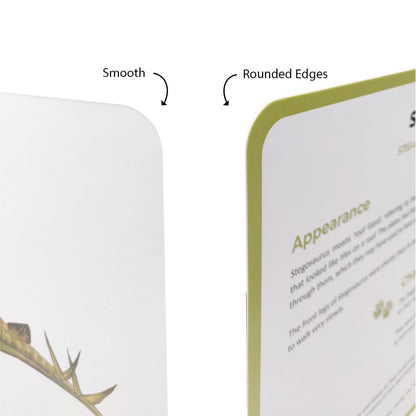 Dinosaurs Quantum Cards - New Packaging