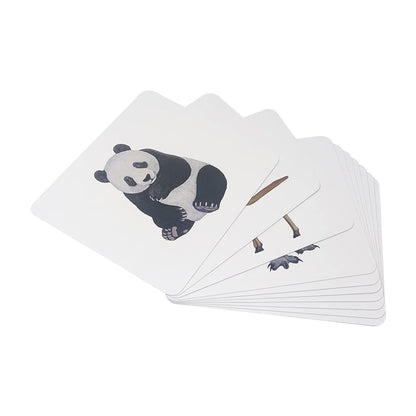 New Quantum Cards Mammals