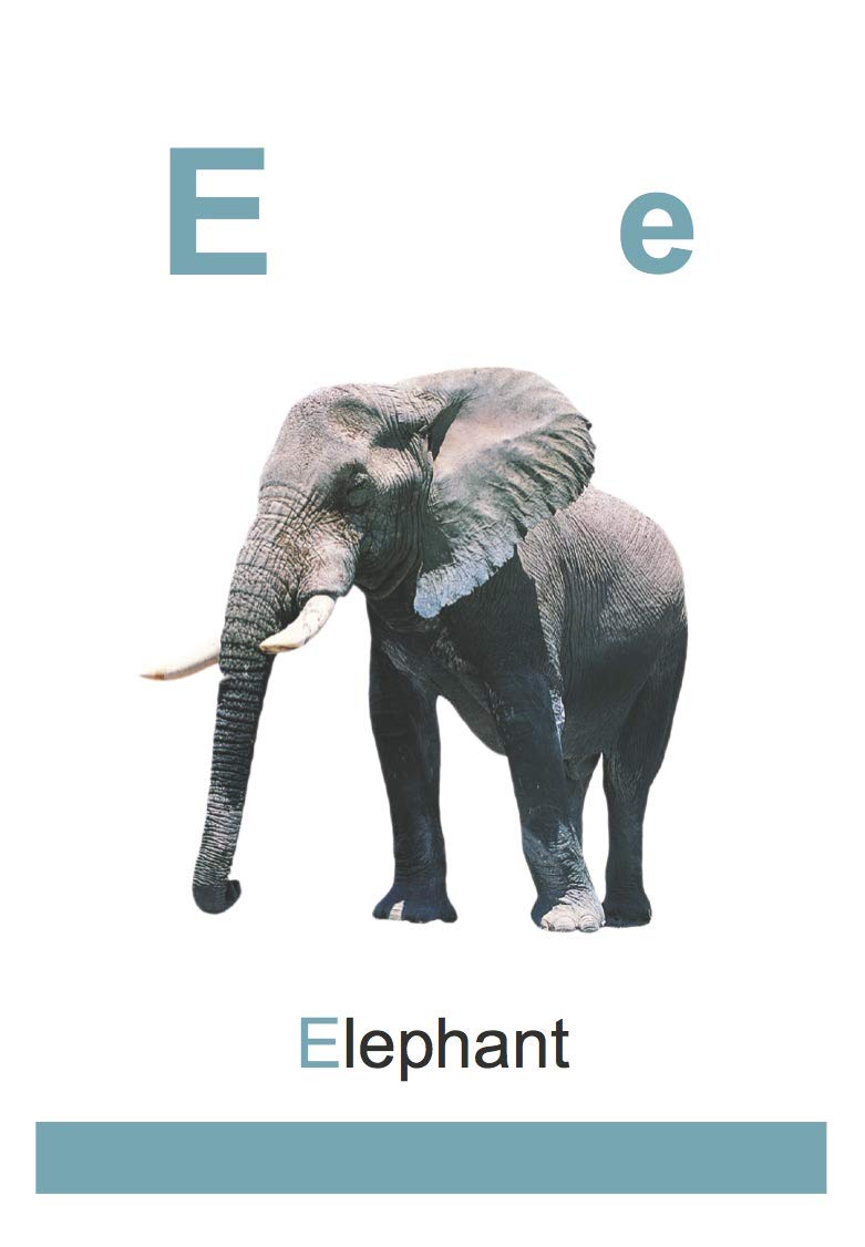 My First Flash Cards ABC