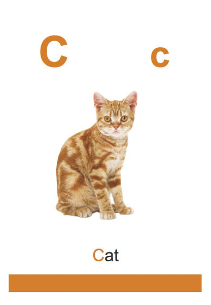 My First Flash Cards ABC