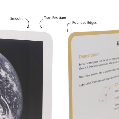 New Quantum Card Organs of the Human Body