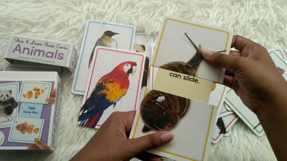 Slide & Learn Flash Card : Animals