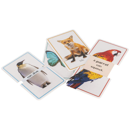 Slide & Learn Flash Card : Animals
