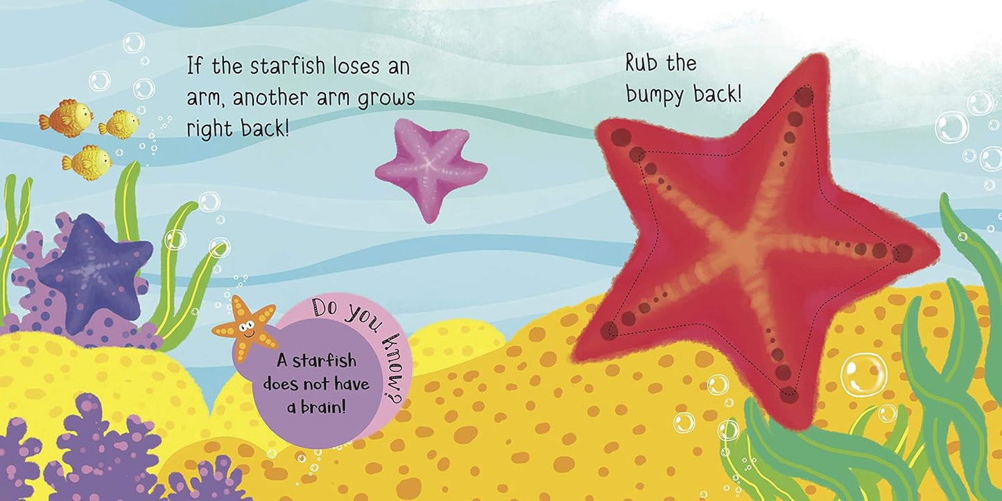 Touch And Feel Sea Friends