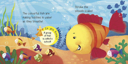 Touch And Feel Sea Friends