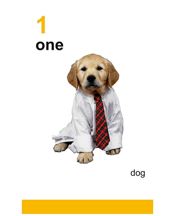 My First Flash Cards 123