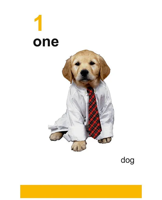 My First Flash Cards 123