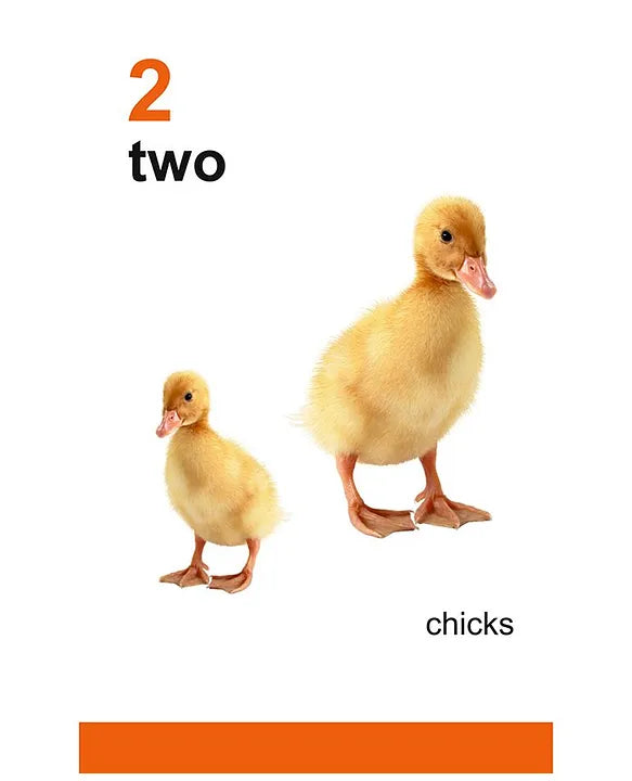 My First Flash Cards 123