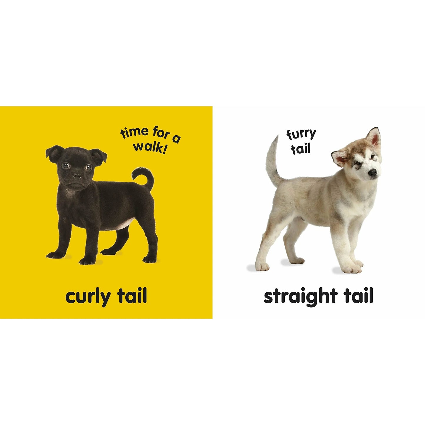 Baby Touch And Feel Puppies