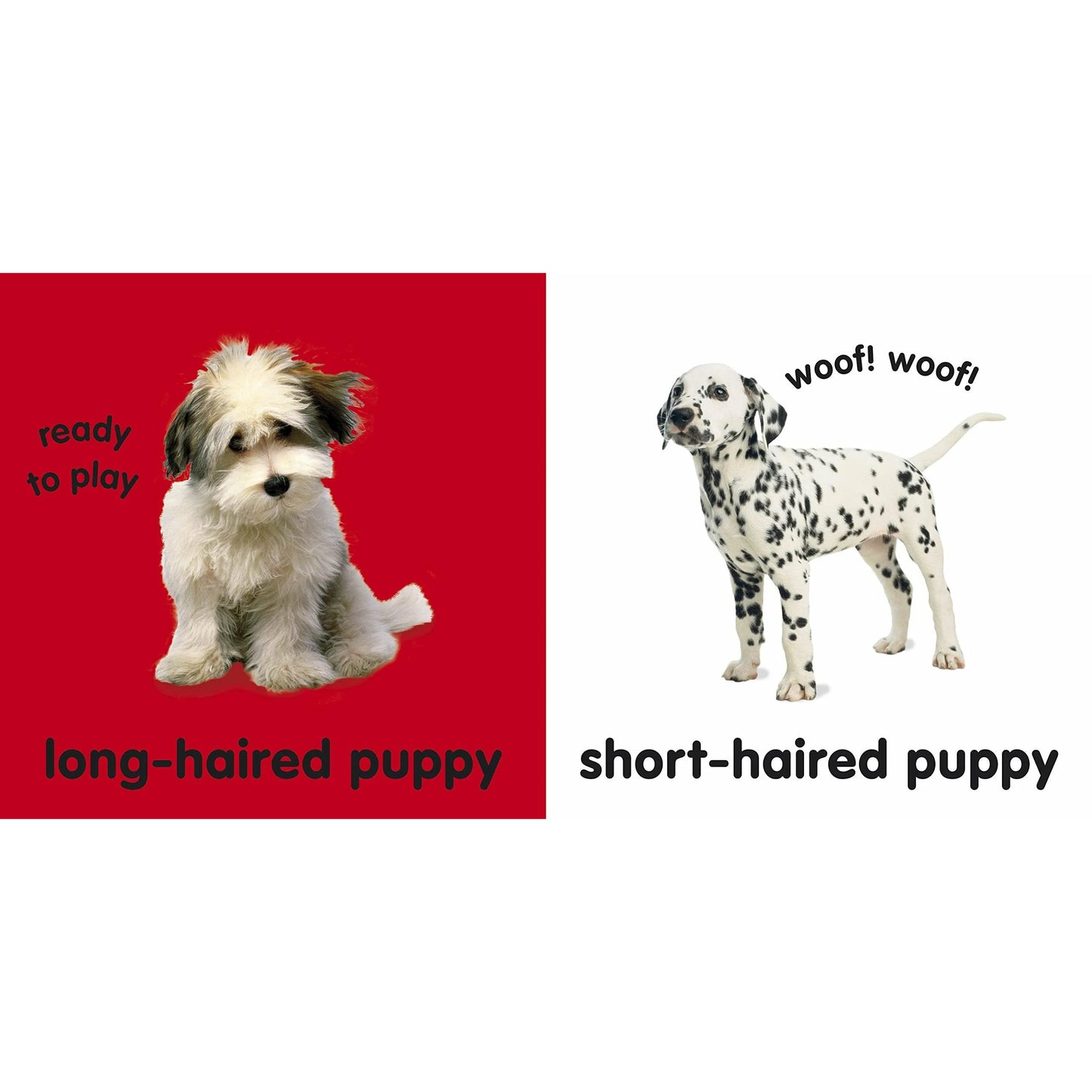 Baby Touch And Feel Puppies
