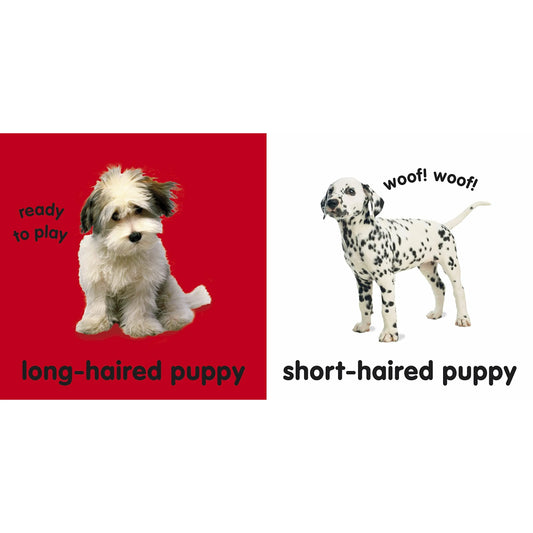 Baby Touch And Feel Puppies